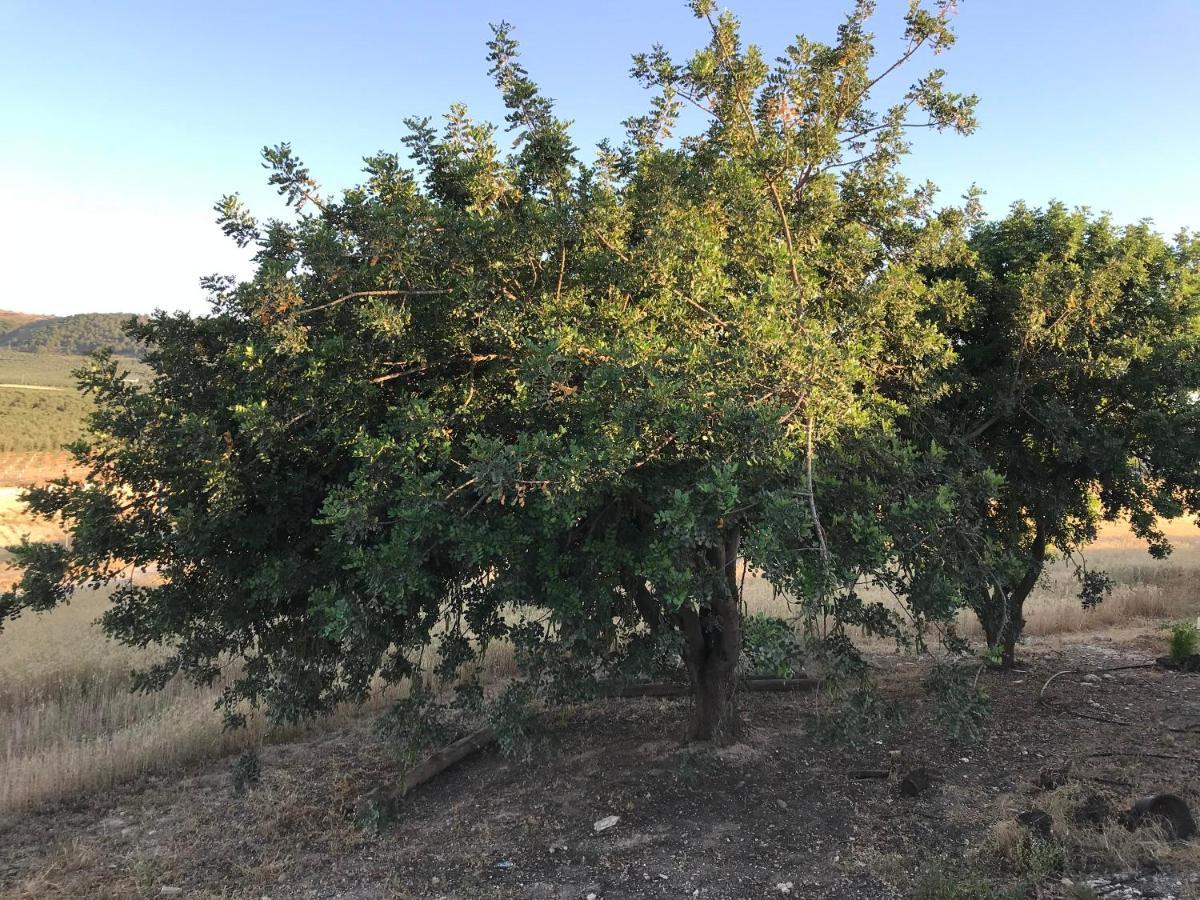 Вилла Cortijo Vista Alegre Фуэнте-де-Пьедра Экстерьер фото
